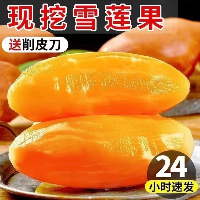 正宗天山雪莲果新鲜脆甜水果9斤大果当季孕妇云南红心雪连果新挖