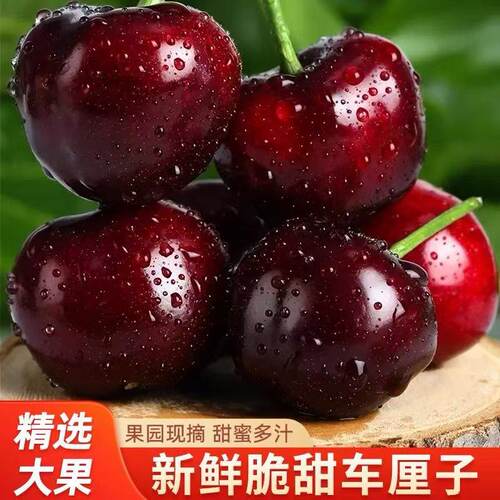 2026新鲜现摘大连美早樱桃车厘子大果原装整箱大樱桃孕妇包邮