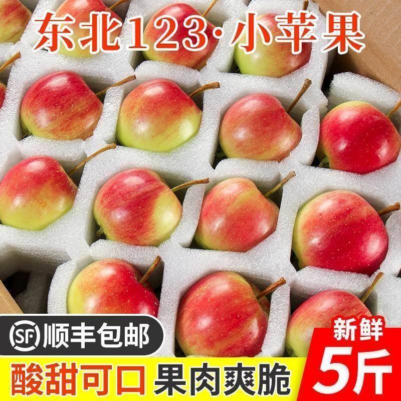 东北123小苹果现摘现发农家新鲜酸甜内蒙赤峰非沙果K9海棠果 包邮图片