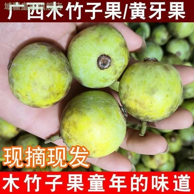 广西木竹子果野生山竹黄牙果酸桐子竹节子黄牙果竹桔橘子木竹果