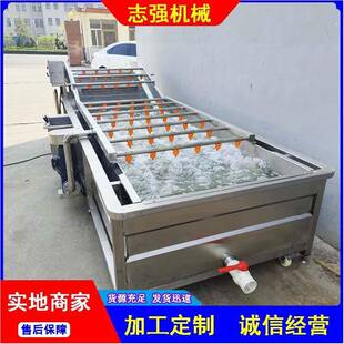 水果蔬菜清洗包装袋去污净菜加工流水线全自动葡萄干气泡清洗机厂