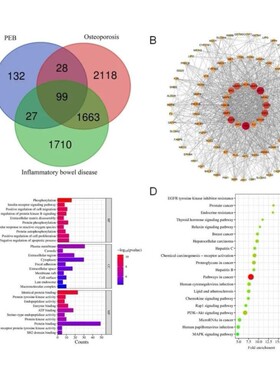 分子动力学模拟 DFT计算高斯 MS Gaussian Materials studio