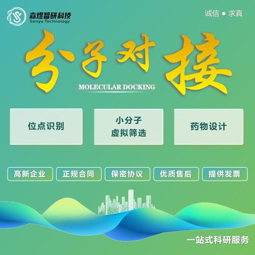 SCi级别 蛋白小分子对接