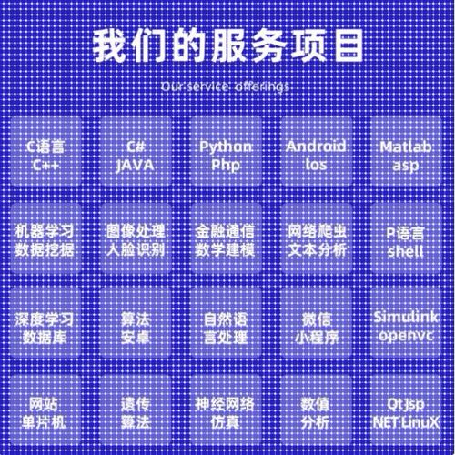 Python代编程深度学习java程序代做matlab代码web帮做彷真算法c++