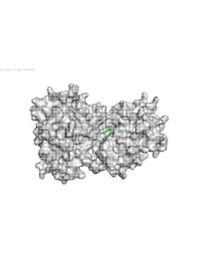 分子对接 分子动力学模拟 Autodock分子对接 PyMOL可视化
