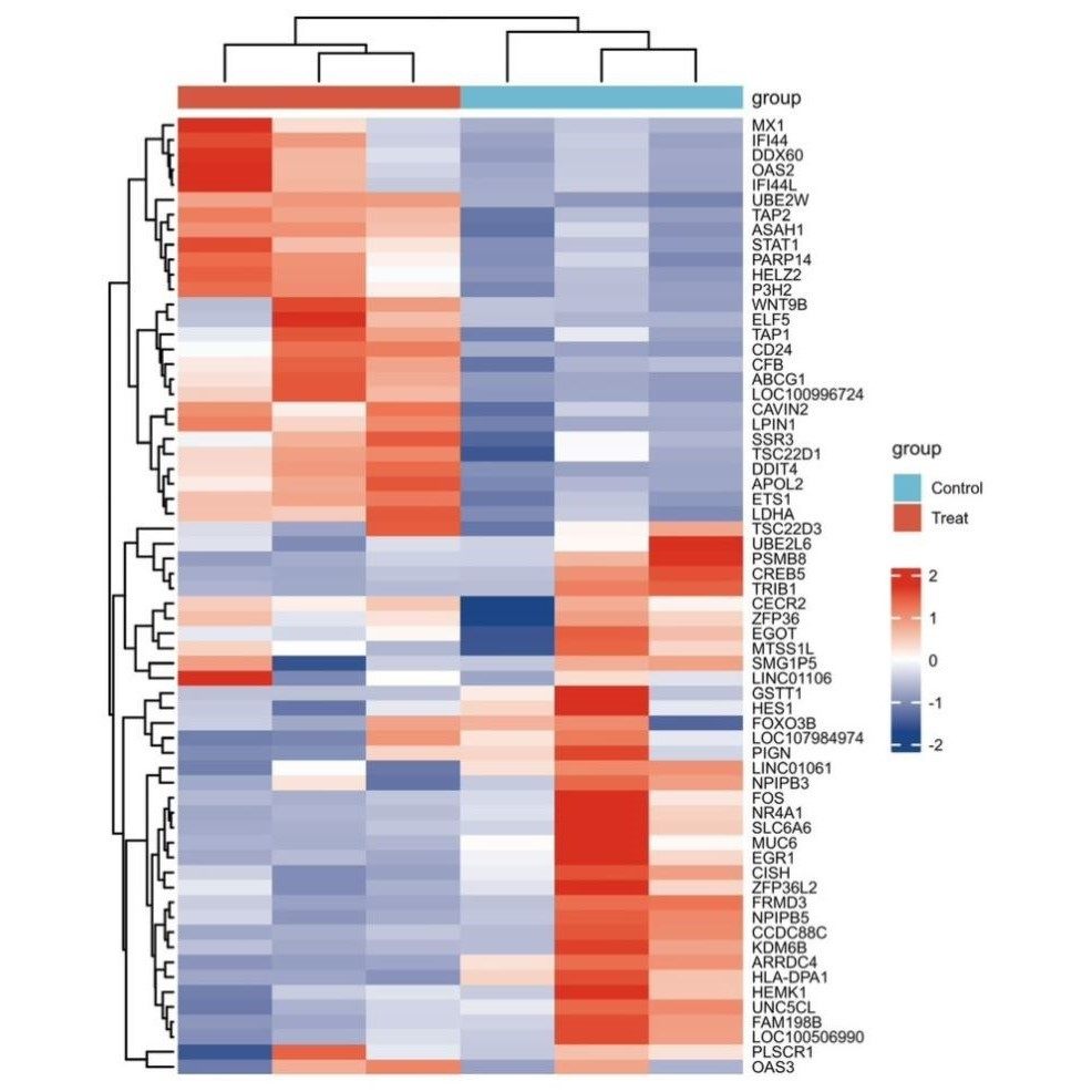 bulk+RNAseq上游分析fastq到count矩阵,当天出结果