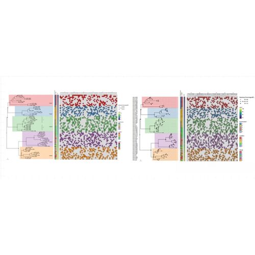 转录组数据分析视频课程GSEA富集分析基因表达量多组学关联分析