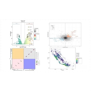 宏基因组分析 微生物16s分析