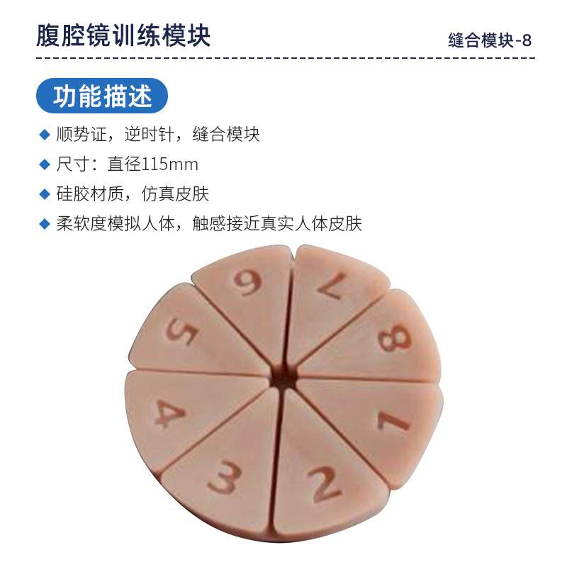 人体腹腔镜模拟训练模块缝合模块8个仿真模型3D皮肤模块