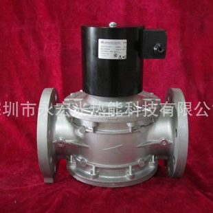 GSAV502R 230VAC电磁阀朱丽安尼GIULIANI燃烧机配件供应商