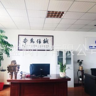 厂家直销GJ641X气动管夹阀现货供应GJ641X气动管夹阀硬密封重锤