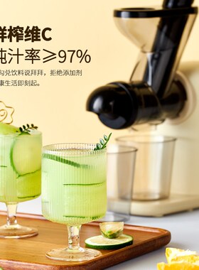 卡丘低速原汁机榨汁机汁渣u分离家用果蔬西芹青汁小型自动慢磨机