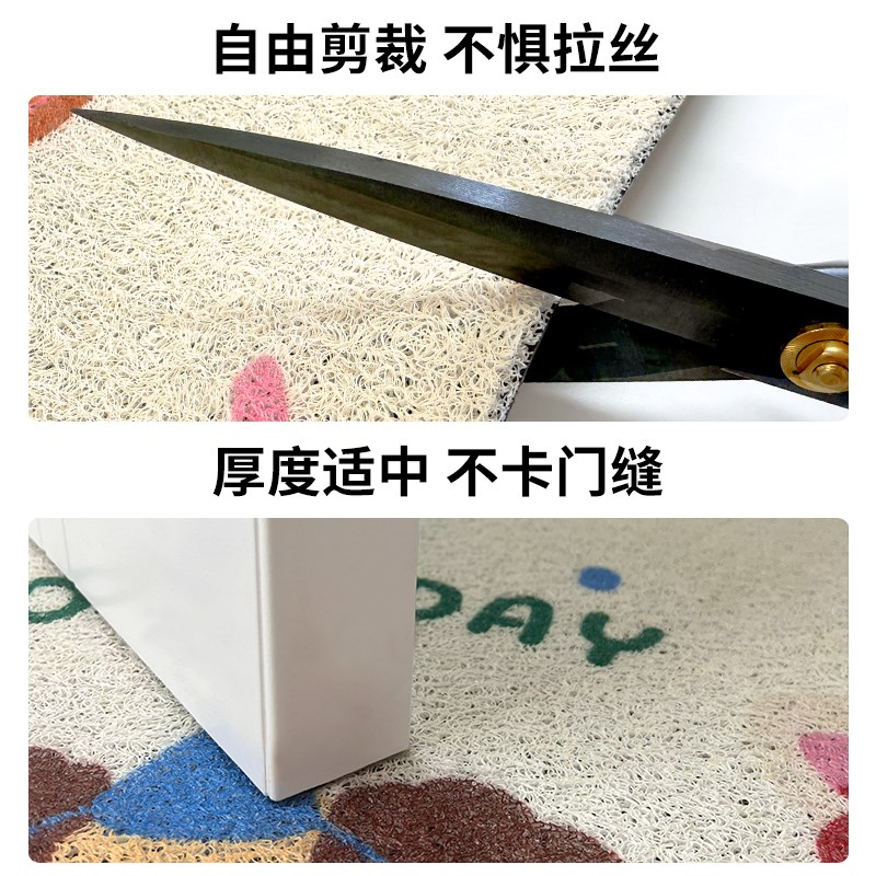 入户门口进门地垫丝圈o家用耐脏免洗防滑垫门垫地毯玄关门前脚踏
