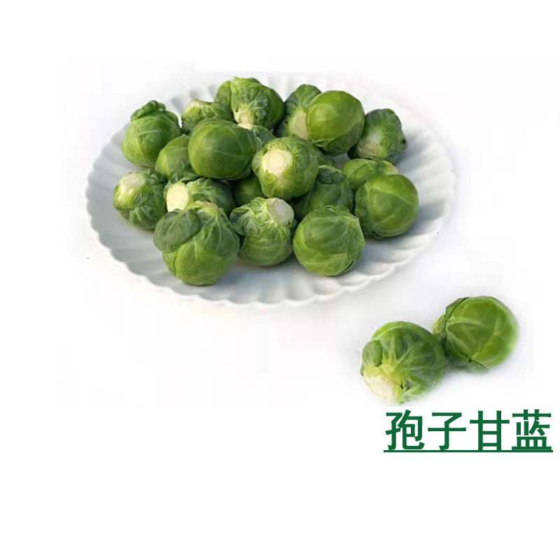 孢子甘蓝蔬菜新鲜小包芽抱
