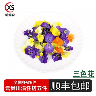 包邮 饰当天采摘五件顺丰 新鲜采摘可食用鲜花西餐摆盘装 三色堇
