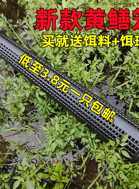 黄鳝笼捕鳝神器鳝鱼笼子塑料泥鳅笼鱼虾笼倒须抓长款黄鳝网笼龙虾