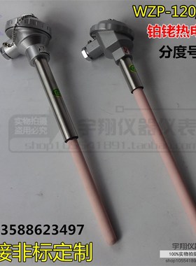 S型铂铑热电偶/WRP-130/耐高温铂铑热电偶/0-1600度/国标0.5mm丝