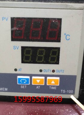 MEM温控压烫机温控器 TS-100温控仪表 NTTD-2401V控温仪
