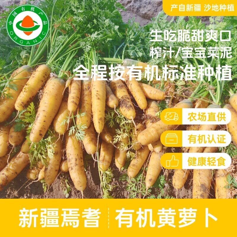 新疆有机糖心黄萝卜5斤产地直发