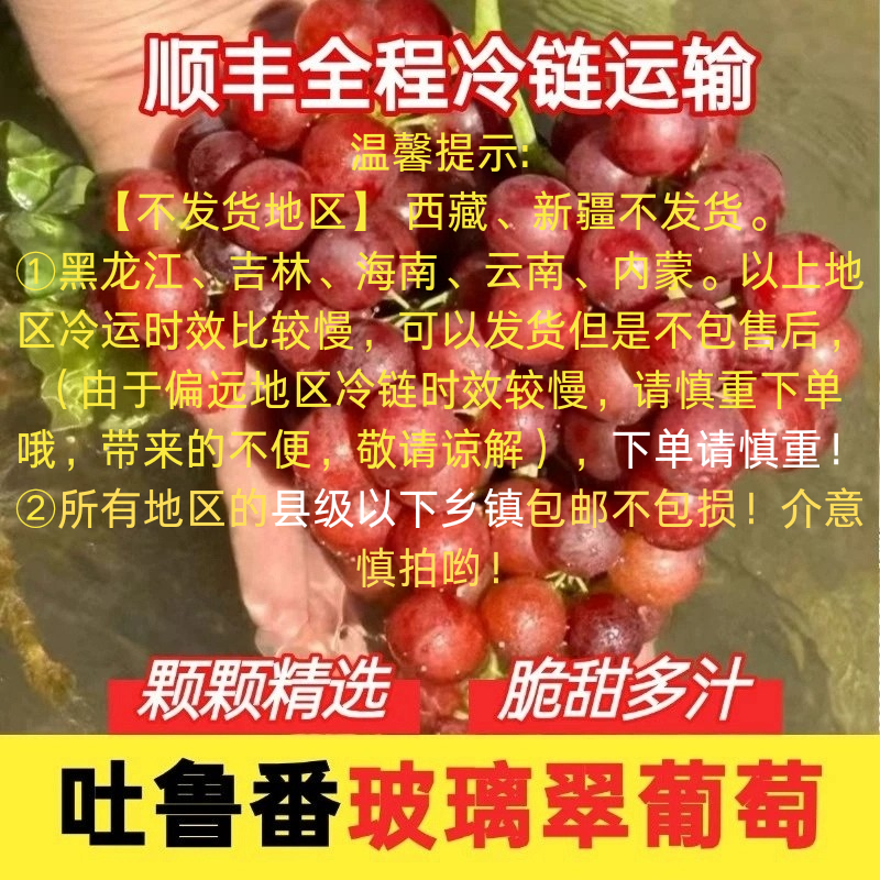 新疆火焰无核玻璃脆葡萄弗雷翠葡萄整箱当季新鲜水果红提顺丰包邮