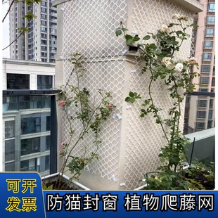 植物爬藤网月季花爬墙网格架铁线莲牵引网爬藤网防猫咪封窗防护网