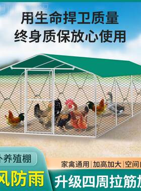 户外鸡棚鸡笼子外大号养鸡室鸽49975笼笼专用防雨鸡舍家用特大养