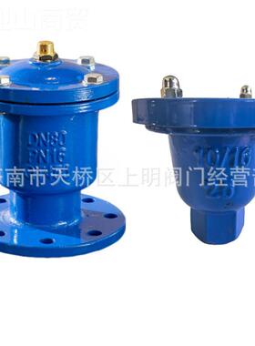 丝扣排气阀复合17821式CARX法兰P42XP41X单双阀门道dn100n25d口dn