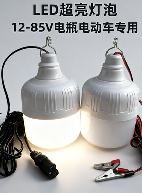 12Vled超亮低压电瓶灯带开关24V36V48V夜钓摆摊电动车专用照明灯