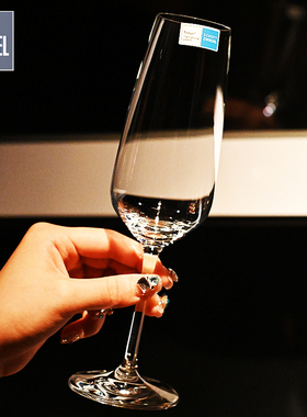 德国SCHOTT进口水晶玻璃高脚香槟杯起气泡甜酒杯白葡萄酒杯子家用