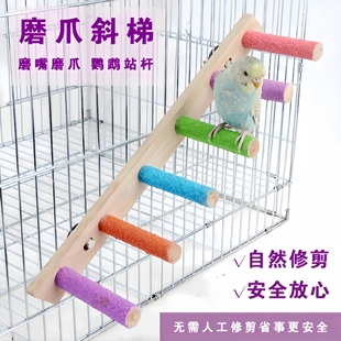 鹦鹉专用磨牙棒互动云梯木梯爬梯玩具虎皮牡丹磨爪嘴秋千配件用品