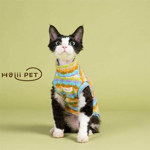 HOiii PET 秋冬彩色毛衣背心德文猫衣服无毛猫保暖加厚潮流针织衫