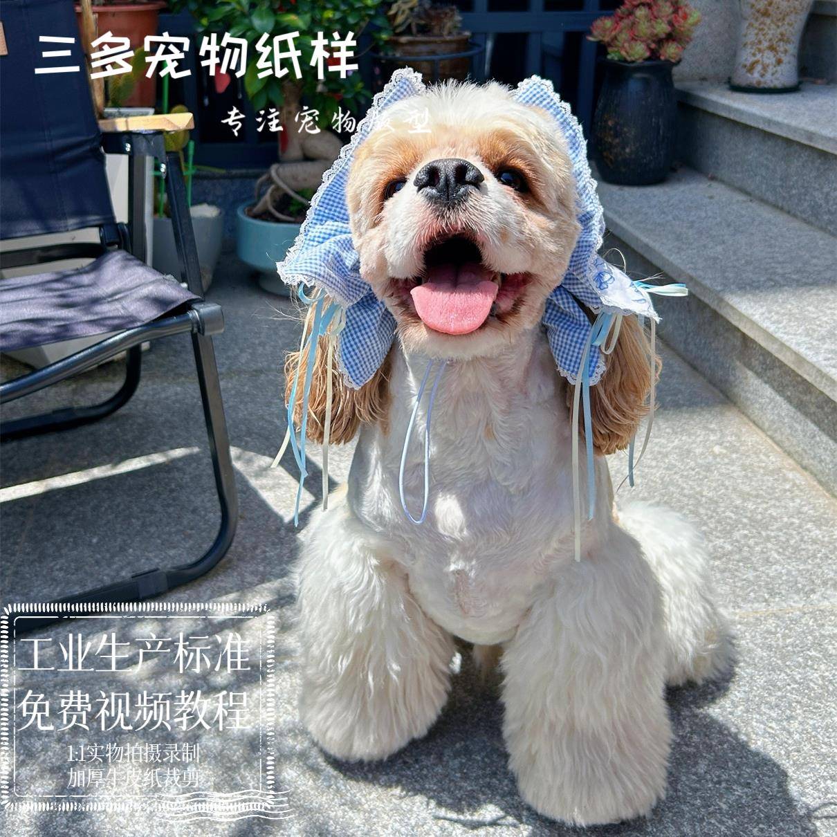 宠物耳花纸样宠物狗饰品可卡查理王美卡耳套图纸史宾格头花防弄脏