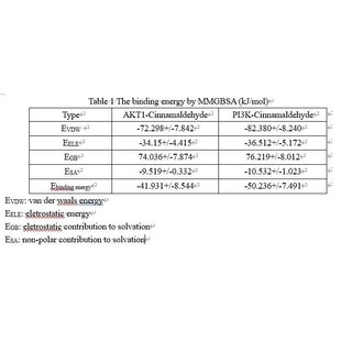 分子对接 MMGBSA结合自由能计算 分子动力学模拟