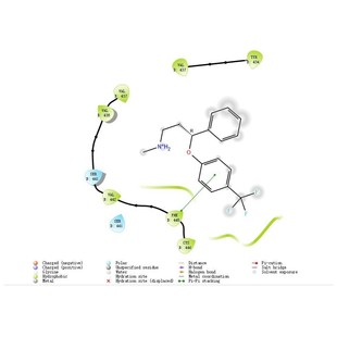 提供原始数据报告 计算结合自由能 分子对接 相互作用高清渲染图
