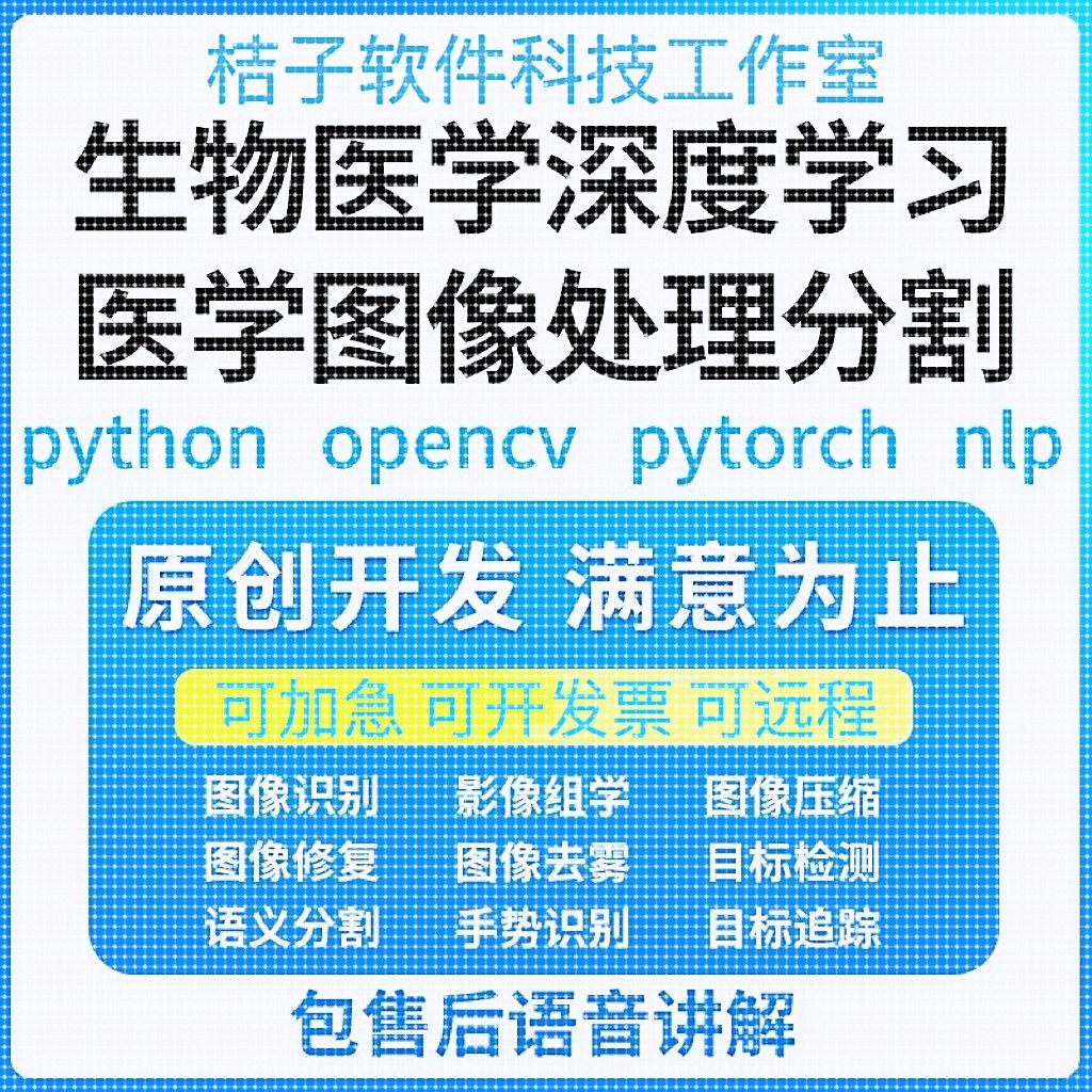 Python代编医学图像分割深度学习语义分割计算机视觉生成对抗网络
