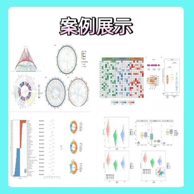 生信分析服务单细胞测序TCGA GEO公共数据库转录组分子对接