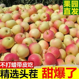 正宗嘎啦果新鲜脆甜苹果水果脆甜多汁富士苹果速发整箱9斤包邮5斤