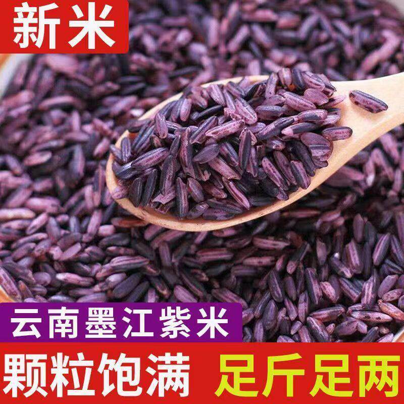 云南墨江紫米紫糯米农家自种新鲜紫糯米今年新米正宗墨江紫米