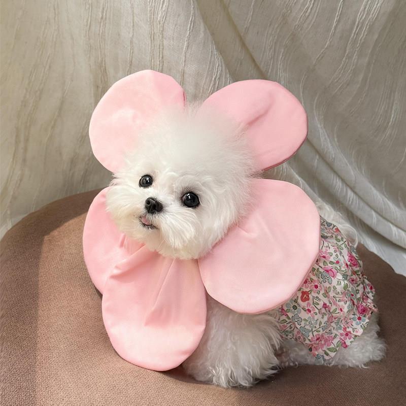 花朵猫咪伊丽莎白圈可调节狗狗绝育防舔防咬保护伤口脖圈比熊泰迪