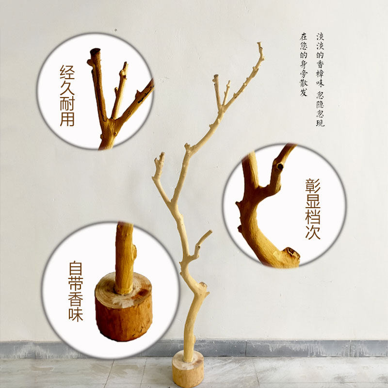 干树枝摆件树干装饰小木s棍客厅造景树枝宠物造型树杈衣架道具枯