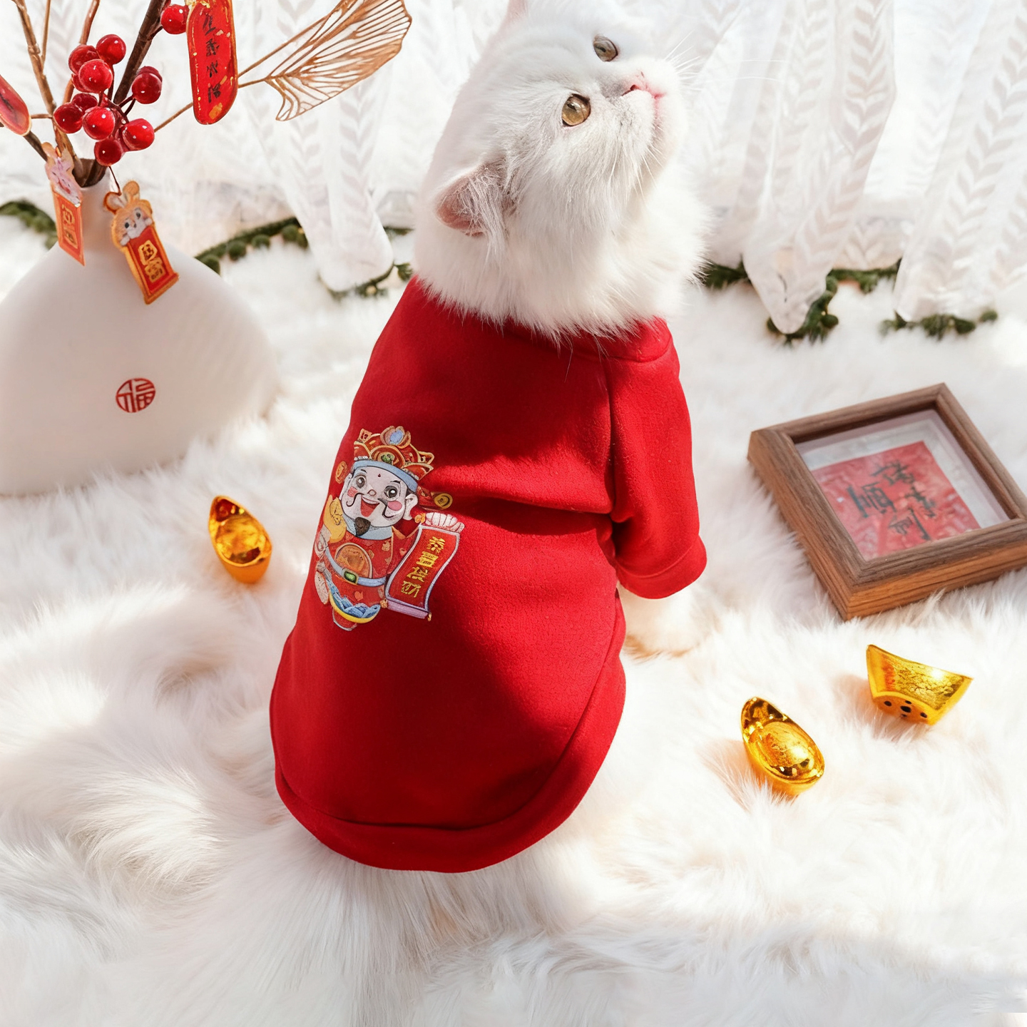 秋冬季加绒款宠物猫咪衣服