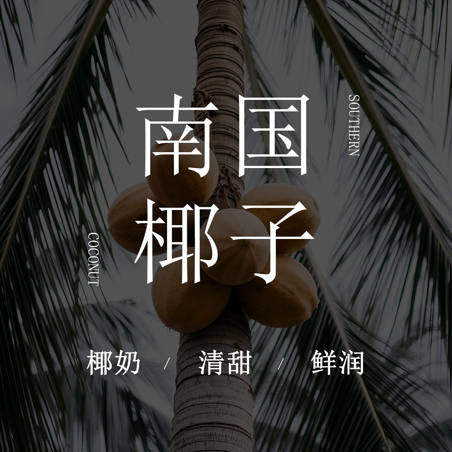 《南国椰子》胭雨阁椰子椰奶香袋车载香薰衣柜衣橱香包香囊伴手礼