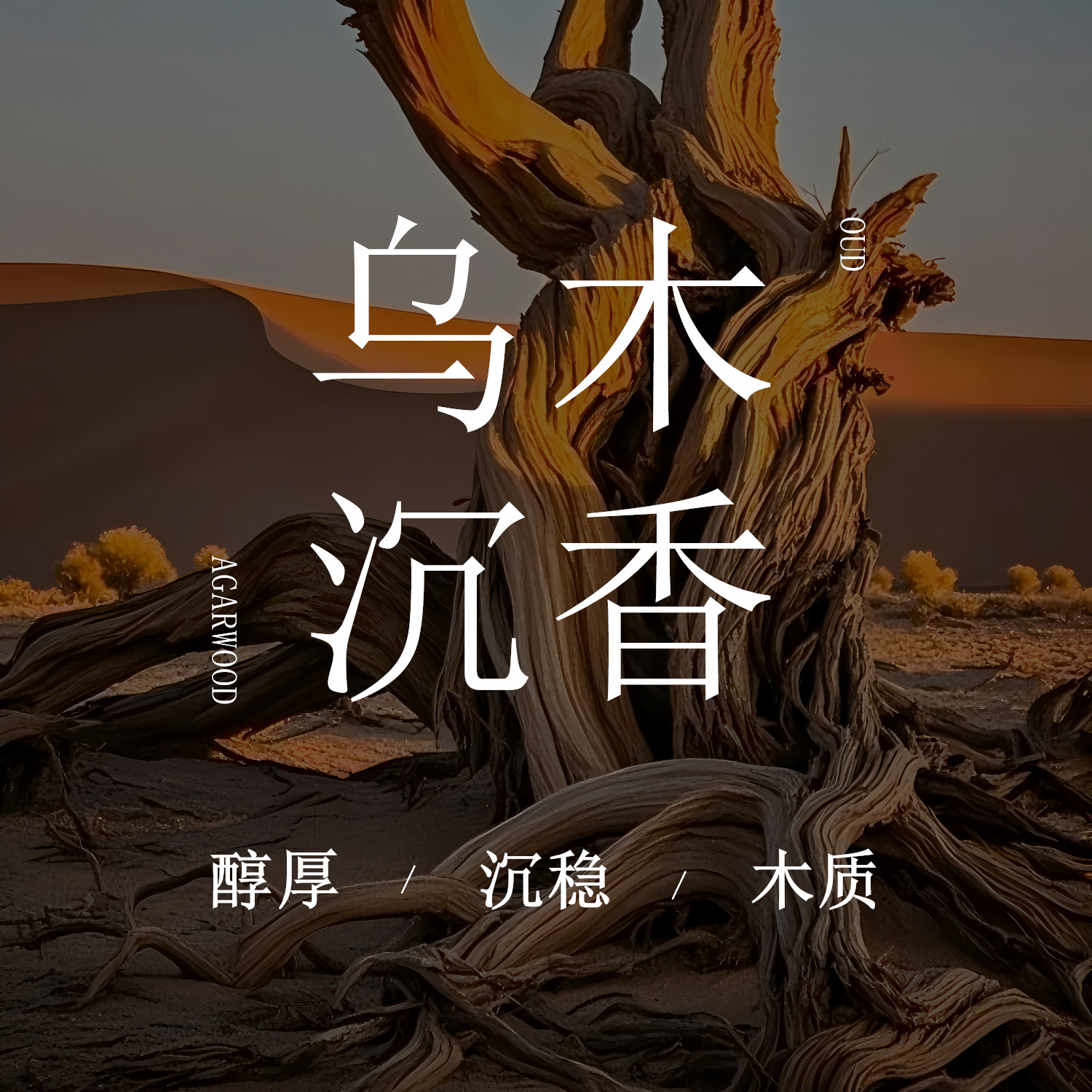 《乌木沉香》胭雨阁乌木沉香香袋车载香薰衣柜衣橱香包香囊伴手礼
