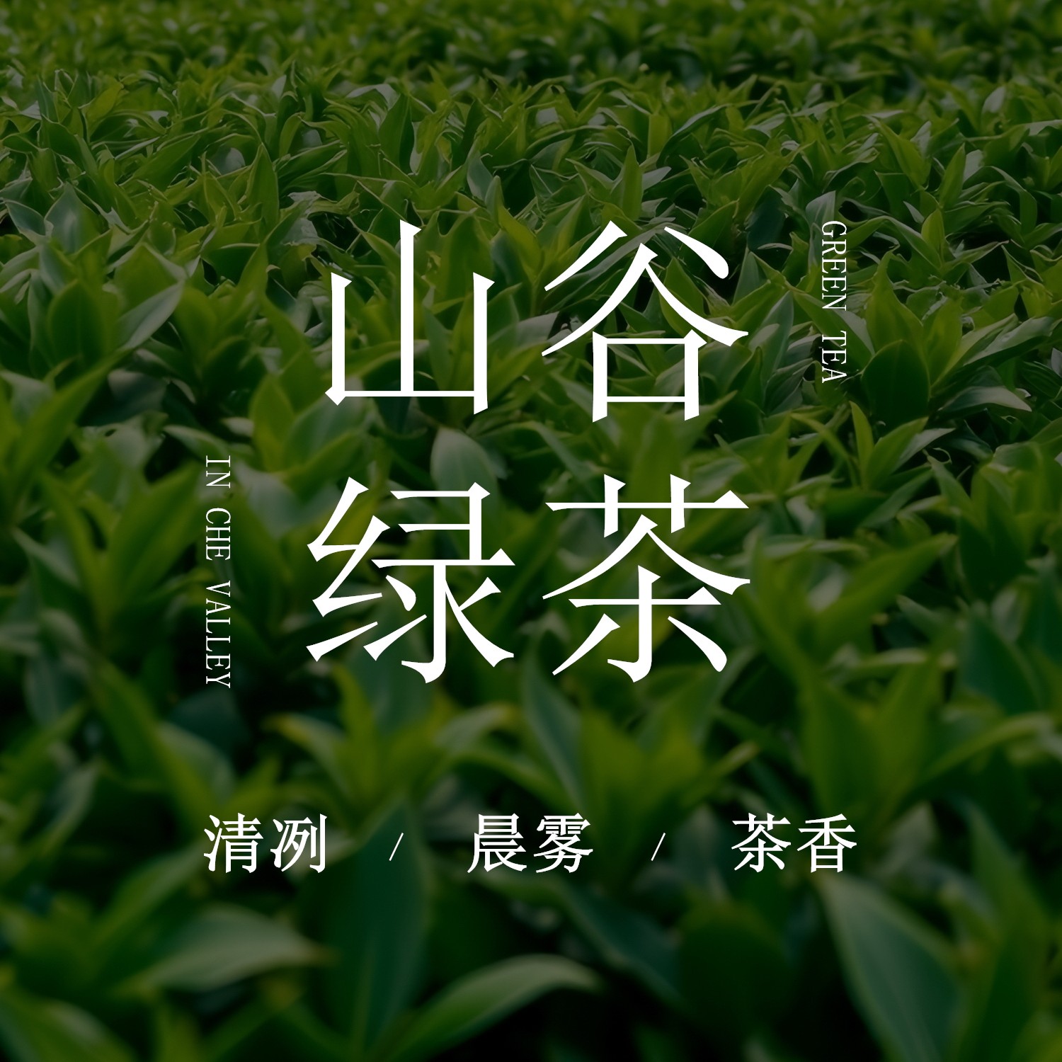 《山谷绿茶》胭雨阁茶叶绿茶香袋车载香薰衣柜衣橱香包香囊伴手礼