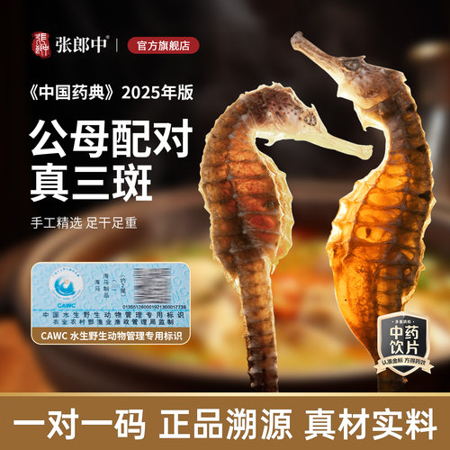 三斑海马公母配对扫码验真正品