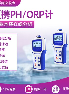 便携式PHORP计水质分析仪含电极探Y头污水检测