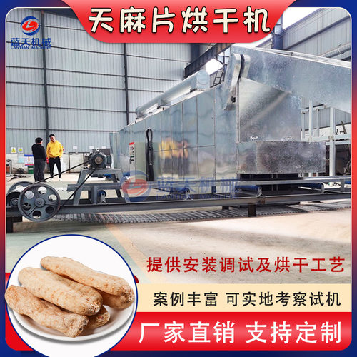 履带式天麻烘干机 大型乌天麻天麻片干燥设备 天麻清洗切片烘干线