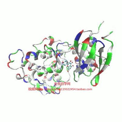 分子动力学模拟影片(Gromacs软体/基于于分子对接结果)
