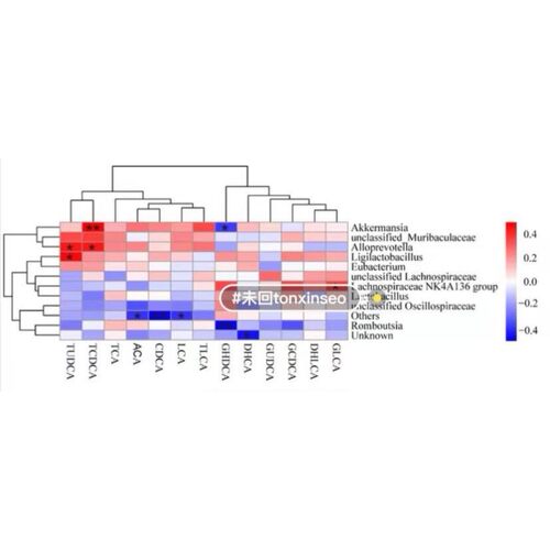 模拟计算代算定制服务 性原理VASP DFT量子化学 分子动力学MS