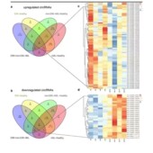 Meta医学视频教程网状分析数据分析全套发布SCI文章网课程